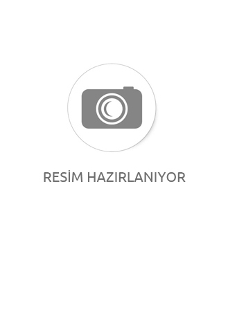 Sarkıcı Begonya Sarı